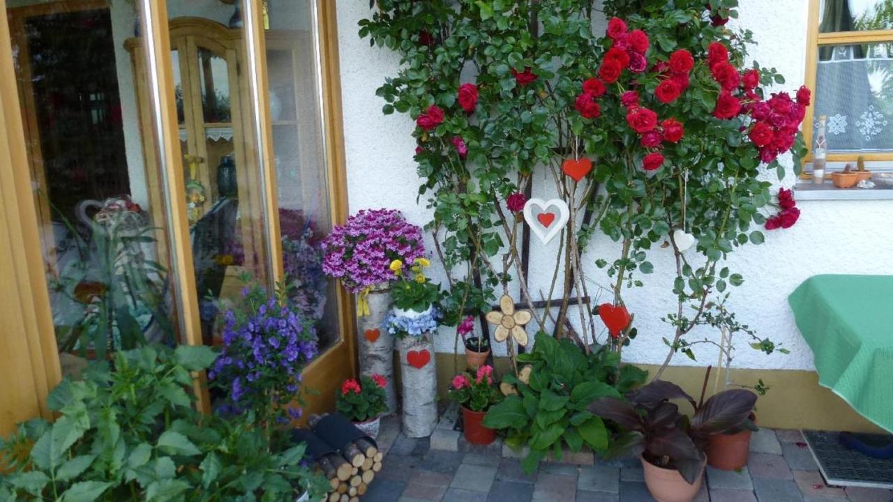 Ferienwohnung Fernblick Freyung Εξωτερικό φωτογραφία
